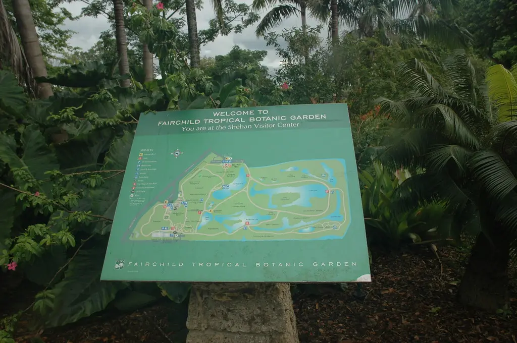 A hand with a garden map next to a labeled plant bed and succulent display