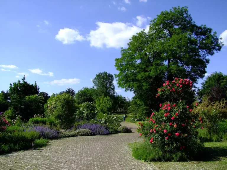 Couple walking through a botanical garden in summer with a map and water bottles