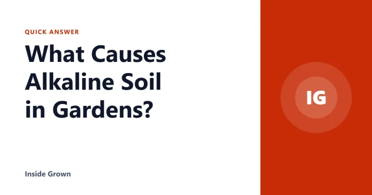What Causes Alkaline Soil in Gardens?