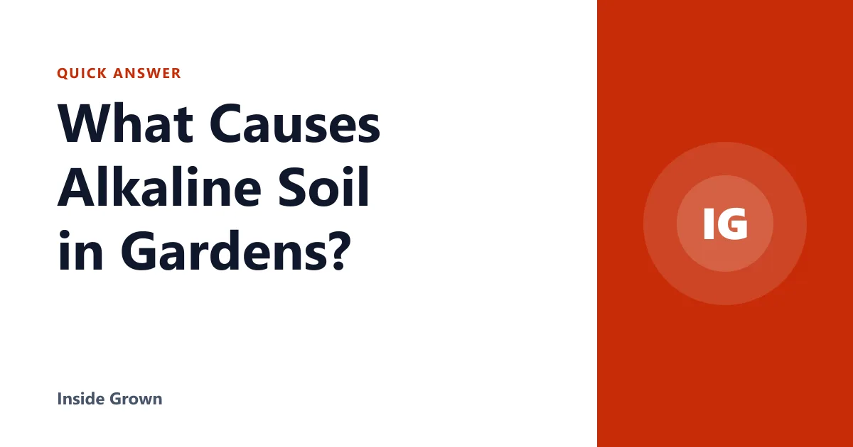 What Causes Alkaline Soil in Gardens?