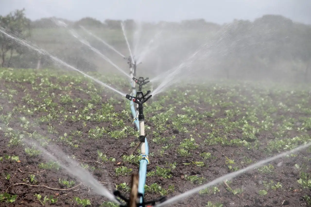 Can irrigation water make soil alkaline?