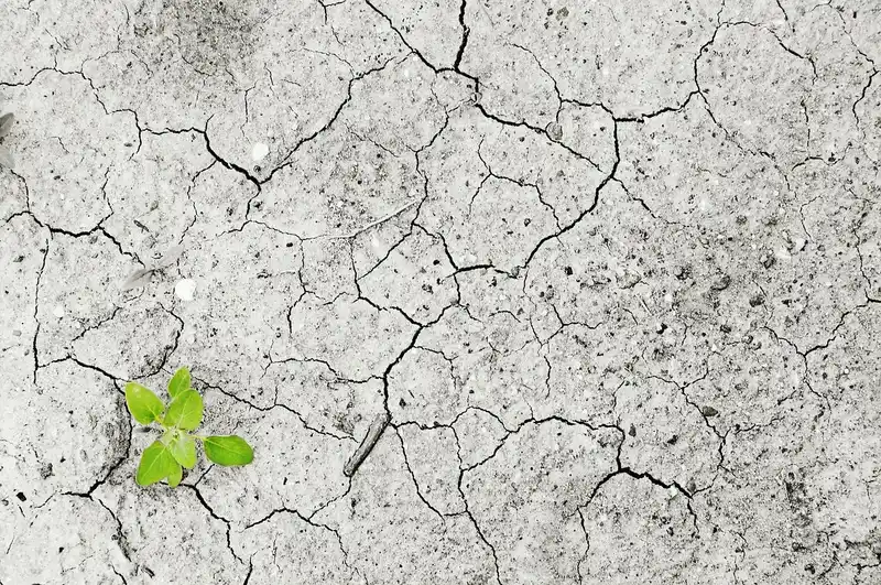 How do I change soil pH safely?