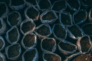 What Is Gypsum Used for in Garden Soil?