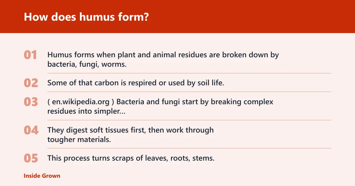 Steps: How does humus form?