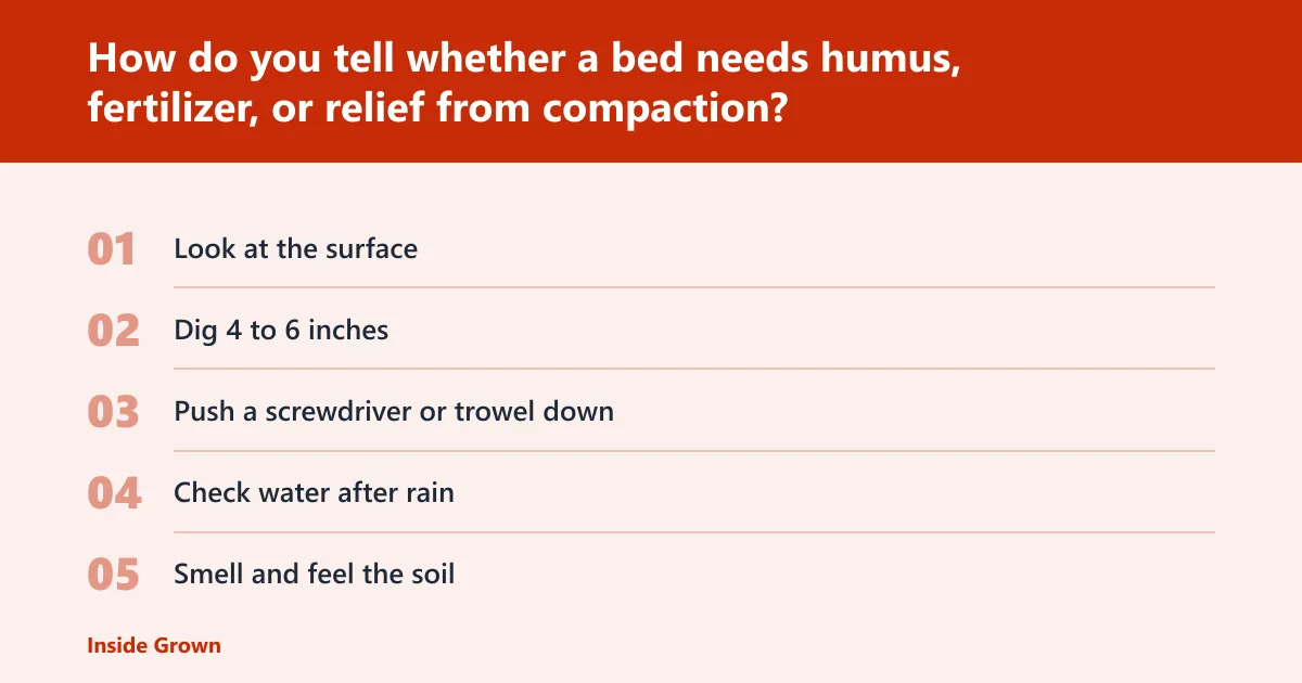 Steps: How do you tell whether a bed needs humus, fertilizer, or relief from compaction?