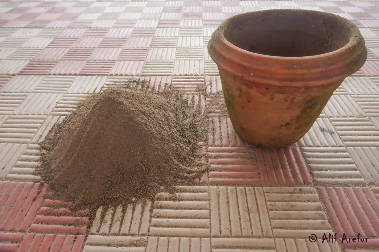 Close-up of loam soil absorbing water without puddling in a tray