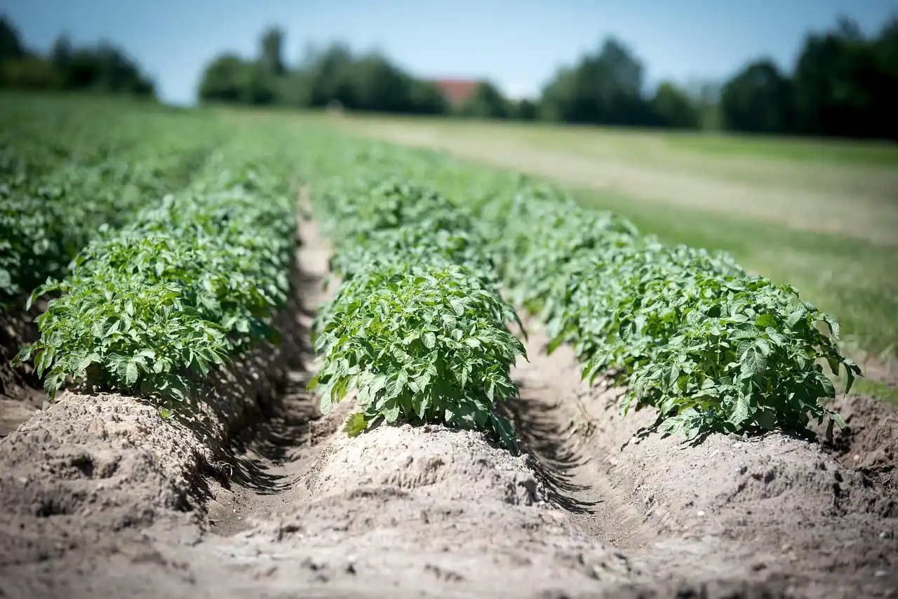 How do I choose a mix for my crop and setup?