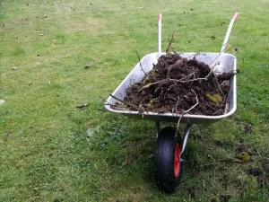What Landscaping Services Include for Homeowners Today