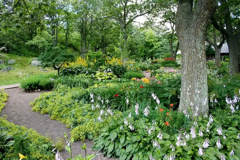 Botanical garden path with flowering beds, shade trees, a greenhouse, ferns, succulents, and herb plots