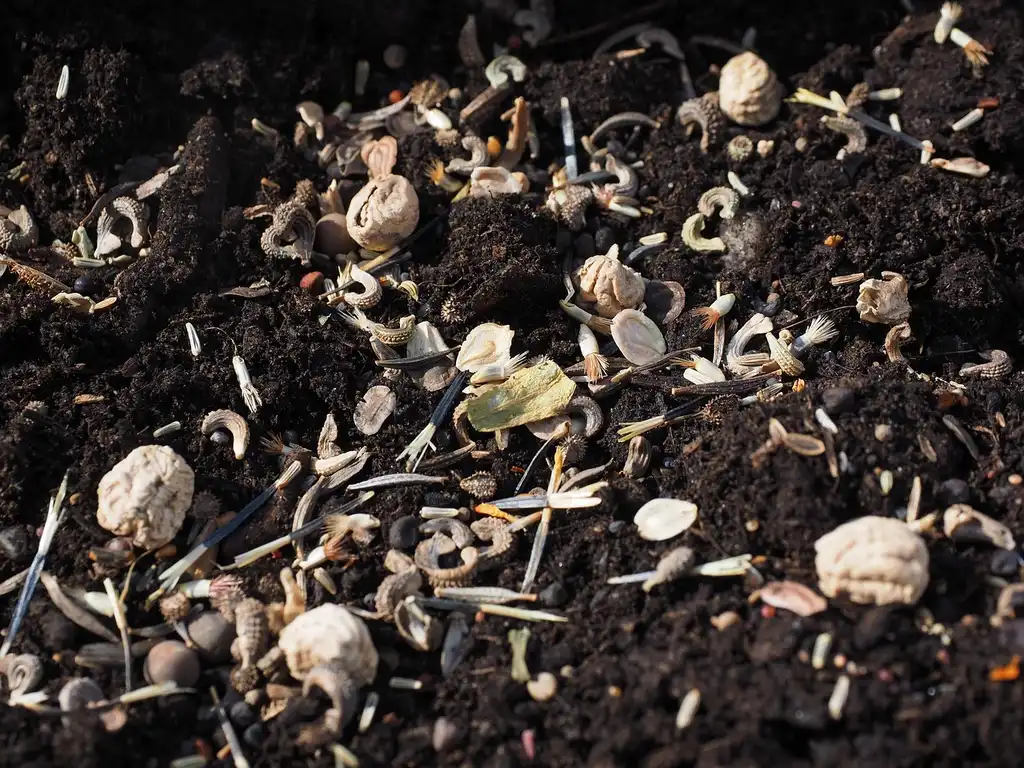 Potting mix vs soil