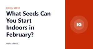 What Seeds Can You Start Indoors in February?