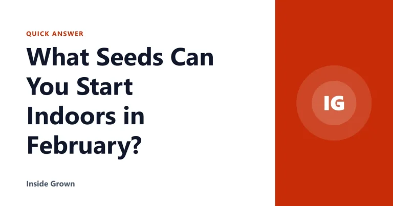 What Seeds Can You Start Indoors in February?