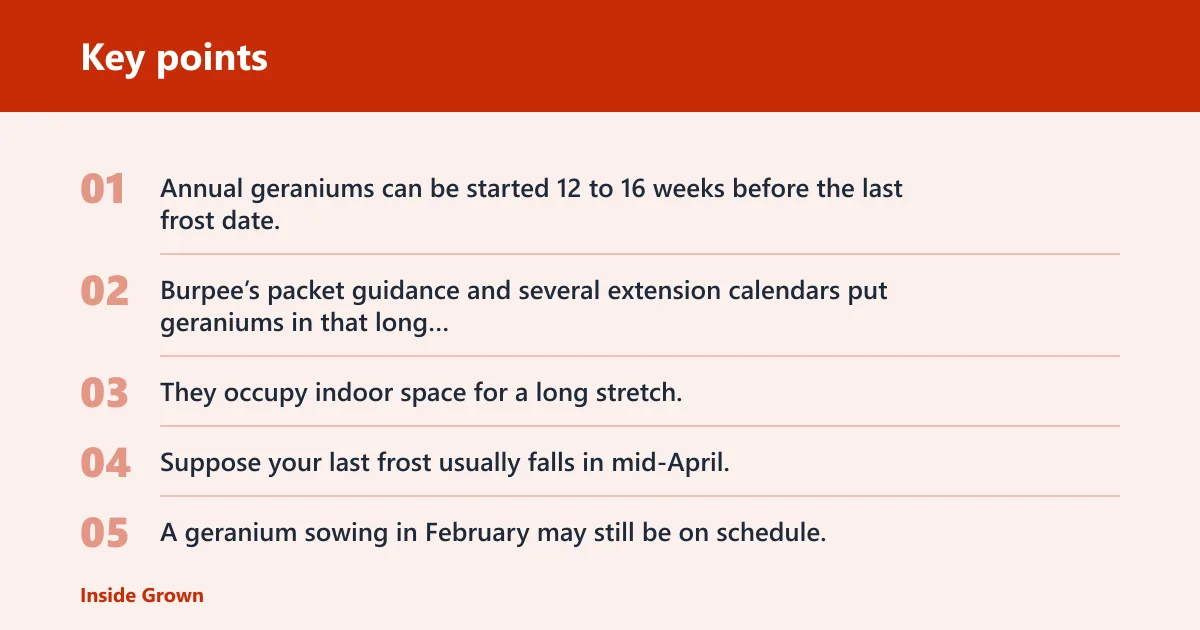 Key points: What seeds should you start indoors in February?
