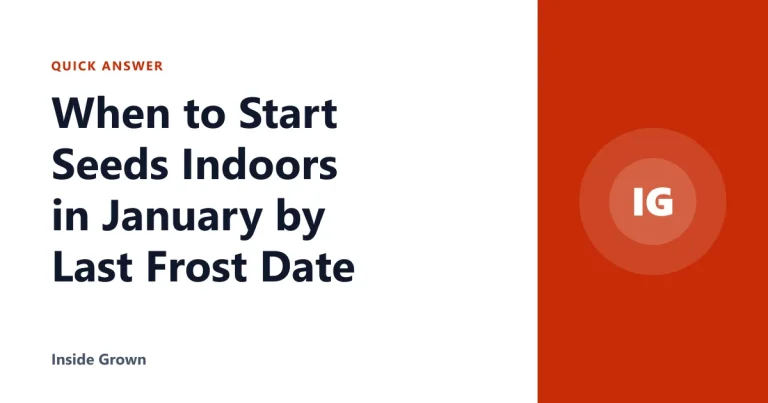 When to Start Seeds Indoors in January by Last Frost Date