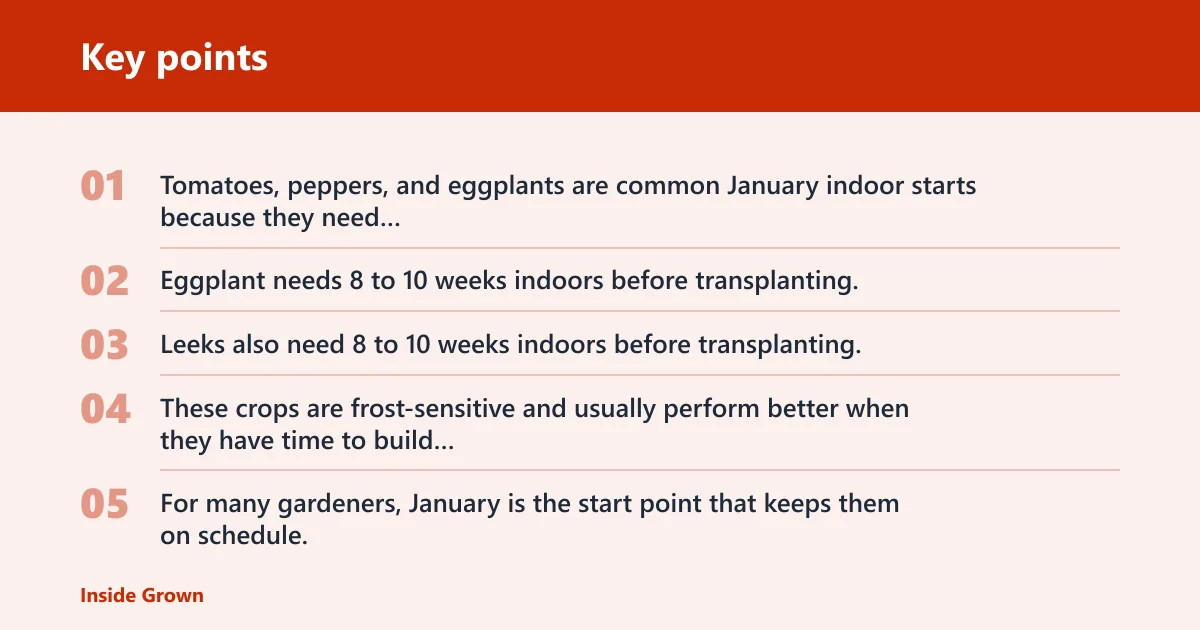 Key points: What seeds to start in January?