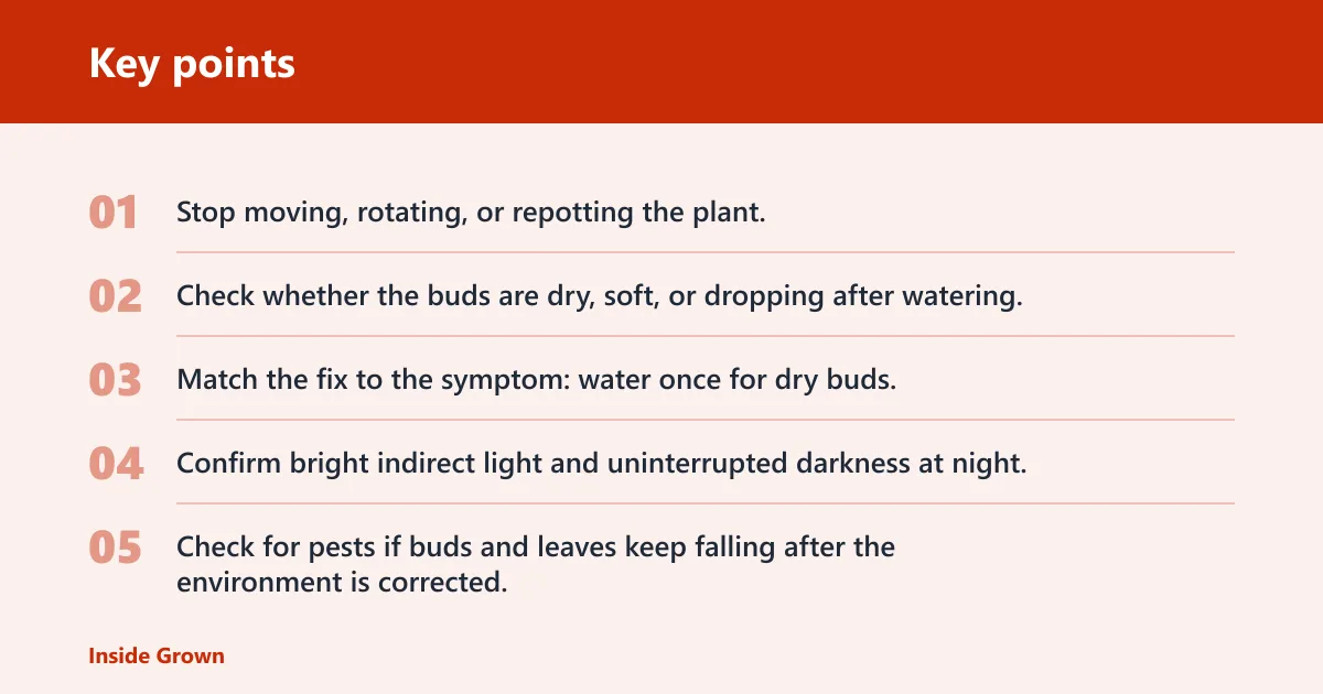 Key points: Pests and disease